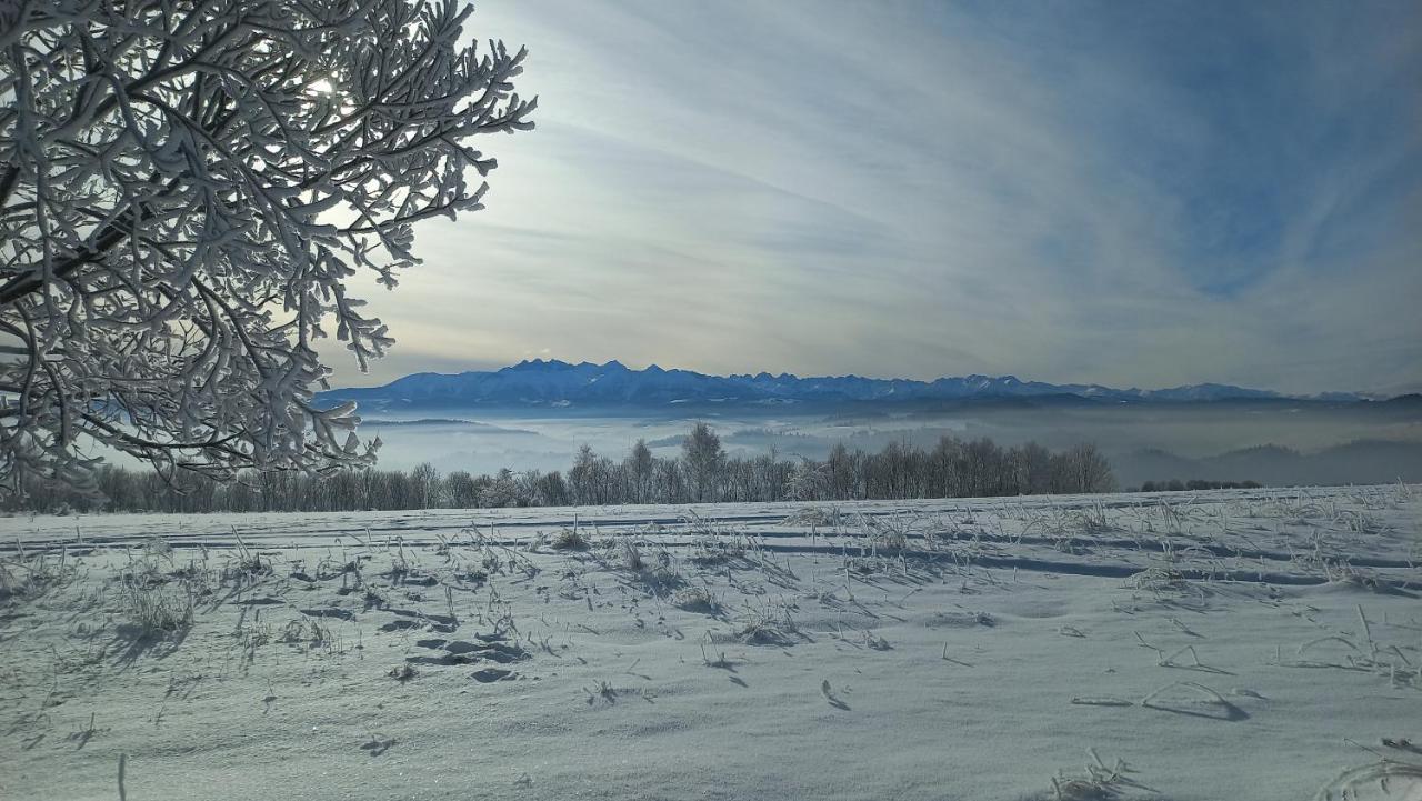 U Halinki Lägenhet Czorsztyn Exteriör bild