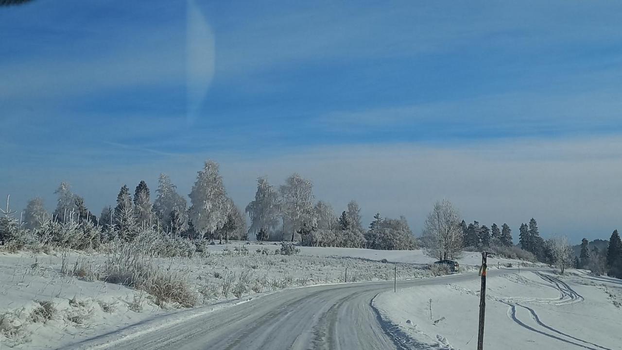 U Halinki Lägenhet Czorsztyn Exteriör bild